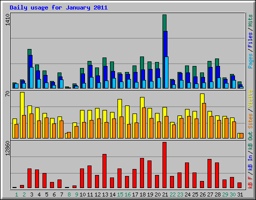 Daily usage for January 2011