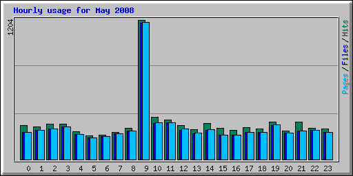 Hourly usage for May 2008