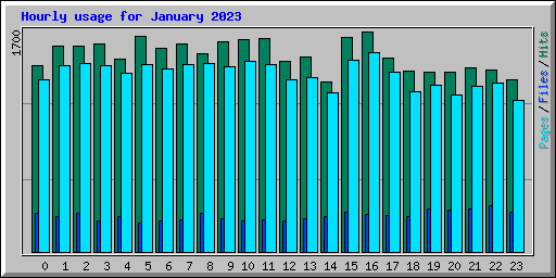 Hourly usage for January 2023