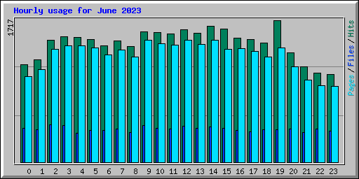 Hourly usage for June 2023