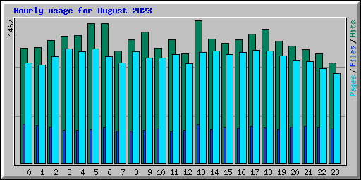 Hourly usage for August 2023