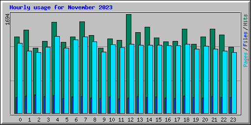 Hourly usage for November 2023