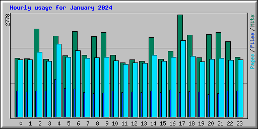 Hourly usage for January 2024
