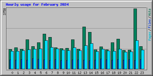 Hourly usage for February 2024
