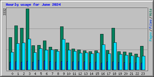 Hourly usage for June 2024