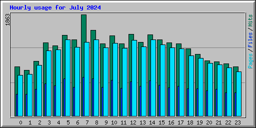 Hourly usage for July 2024