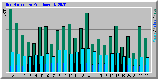 Hourly usage for August 2025