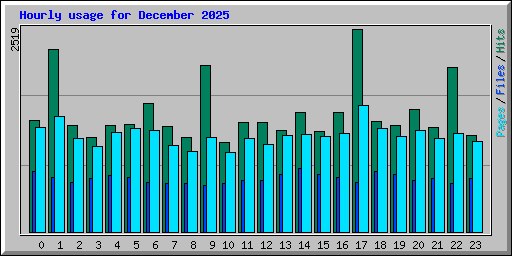 Hourly usage for December 2025